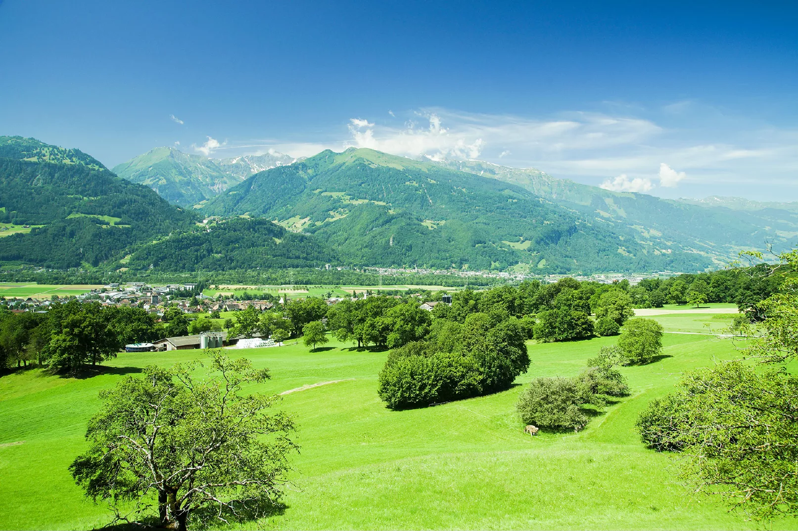 Heidiland-in-Eastern-Switzerland